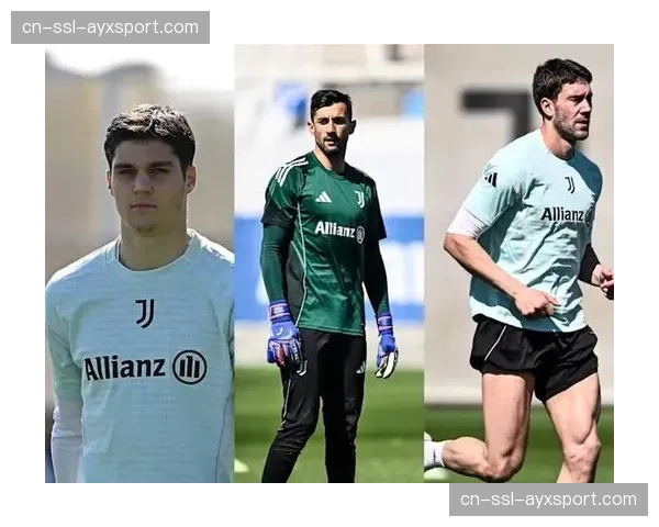 尤文官方确认弗拉霍维奇左小腿比目鱼肌损伤，预计缺席3周